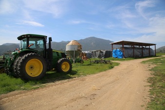 Enlarge photo 196
