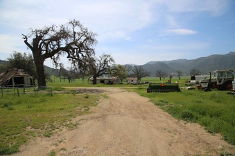 Enlarge photo 197