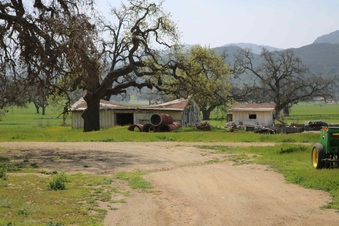 Enlarge photo 198