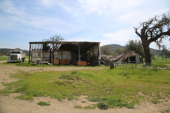 Enlarge photo 199