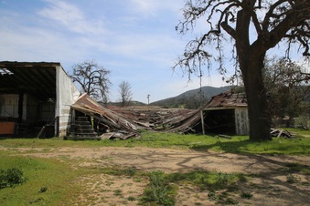 Enlarge photo 201