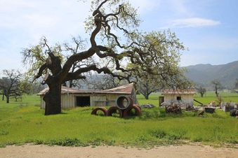 Enlarge photo 202