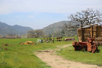 Enlarge photo 203