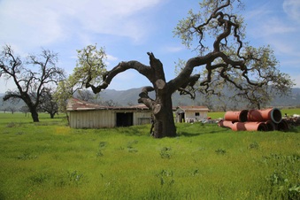 Enlarge photo 205