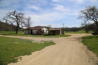 Enlarge photo 206