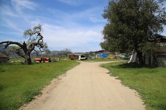 Enlarge photo 207