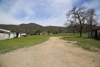 Enlarge photo 209