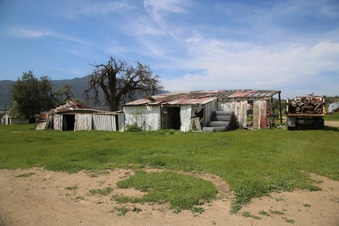 Enlarge photo 213