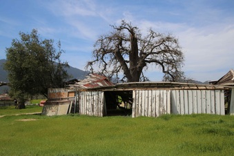 Enlarge photo 215