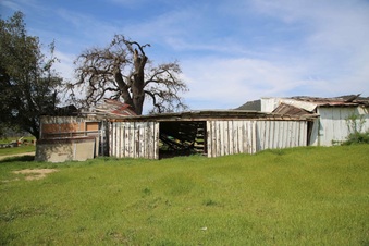 Enlarge photo 217