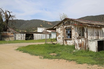 Enlarge photo 222