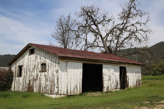 Enlarge photo 223