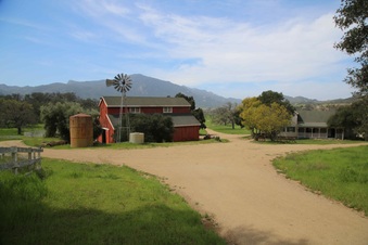 Enlarge photo 2