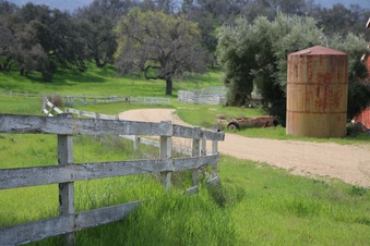 Enlarge photo 8