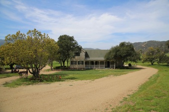Enlarge photo 15