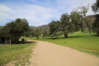 Enlarge photo 16