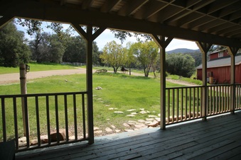 Enlarge photo 25