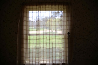 Enlarge photo 46