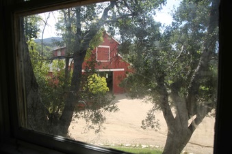 Enlarge photo 67