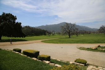Enlarge photo 72