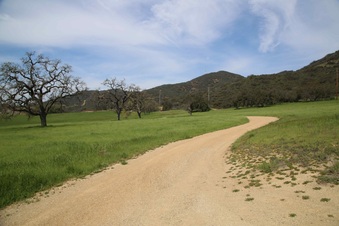 Enlarge photo 74