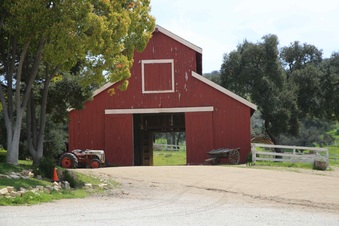 Enlarge photo 78