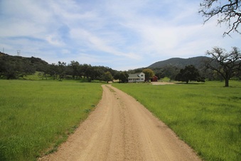 Enlarge photo 79