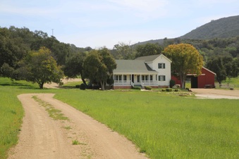 Enlarge photo 80