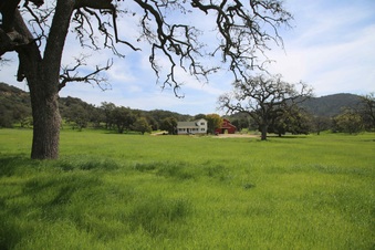 Enlarge photo 81
