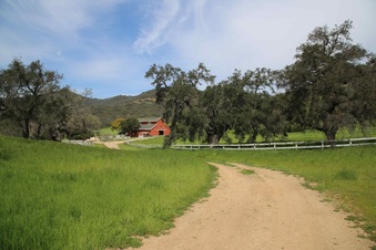 Enlarge photo 85