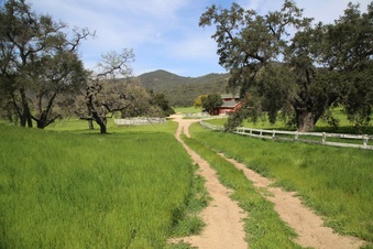 Enlarge photo 86