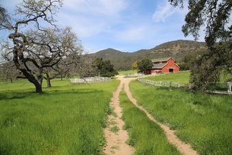 Enlarge photo 88