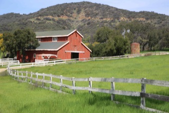 Enlarge photo 90