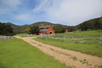 Enlarge photo 91