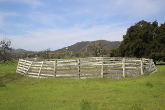 Enlarge photo 93