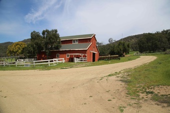 Enlarge photo 95