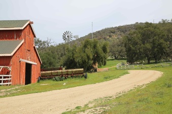 Enlarge photo 96