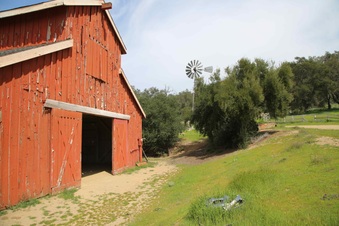 Enlarge photo 105