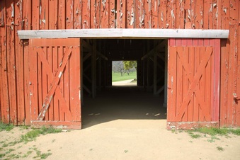 Enlarge photo 107