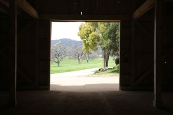Enlarge photo 109