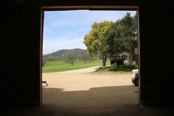 Enlarge photo 110