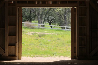 Enlarge photo 112