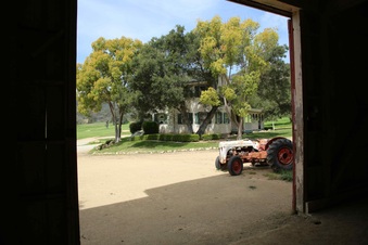 Enlarge photo 113