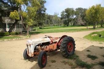 Enlarge photo 115