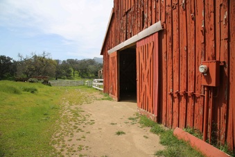 Enlarge photo 122