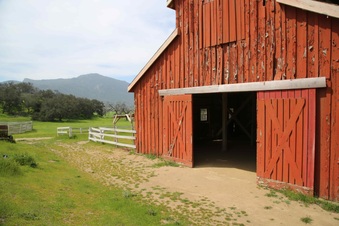 Enlarge photo 123
