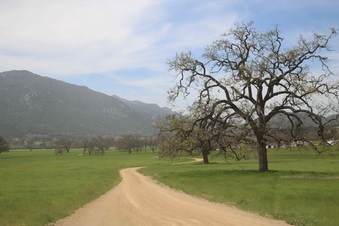 Enlarge photo 128