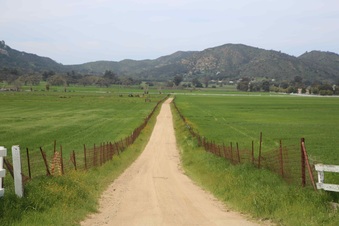 Thornton Ranch, Thousand Oaks