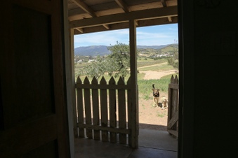 Enlarge photo 15