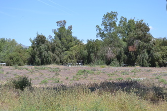 Enlarge photo 62